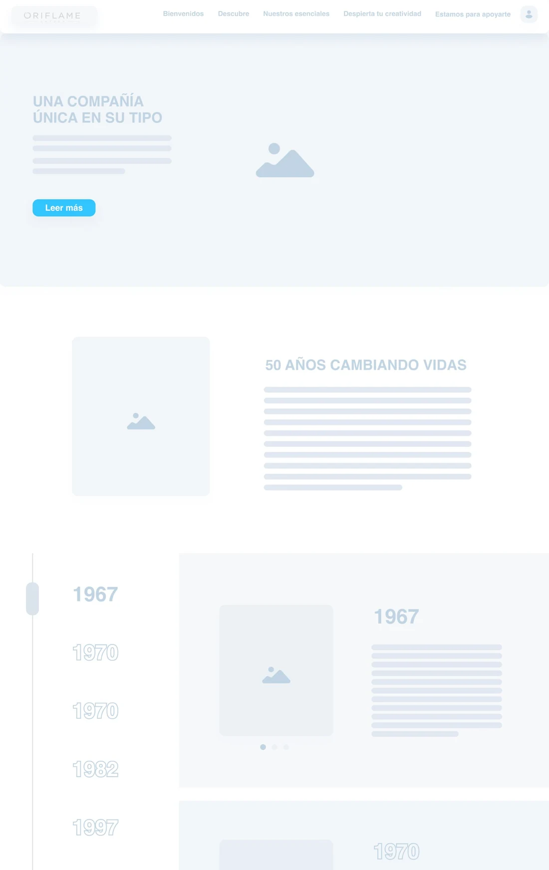 Wireframe: company intro, 50 years and timeline